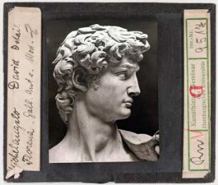 Michelangelo: David, Detail Kopf. Florenz, Akademie