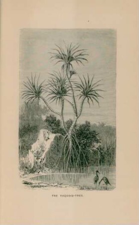 The Vaquois-Tree