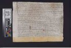 Würzberg: Peter Eichter zu Messelbornn und Margreth geb. v. Thungen, seine Ehefrau überlassen dem Rudolf v. Rudekem von wegen Anna Genssin v. Otzb...