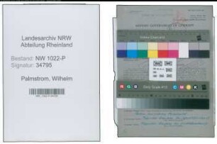 Entnazifizierung Wilhelm Palmstrom , geb. 16.04.1906 (Kaufmaennischer Angestellter)