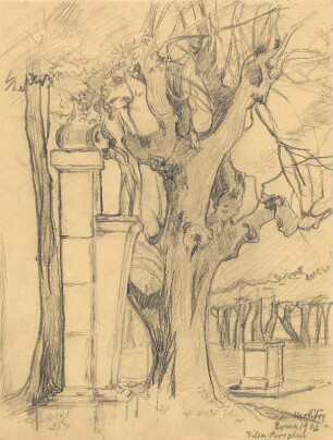 Baumstudie im Park der Villa Borghese in Rom : Baumstudie im Park der Villa Borghese in Rom. Bleistiftzeichnung; 27,8 x 21 cm (Blattgröße) (1906; M. Molitor). Dresden: SLUB Mscr.Dresd.App.2000,1050