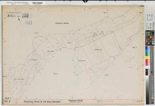 Dackmar (Warendorf), Vohren (Warendorf), Flurbereinigung Dackmar-Vohren, Bl.7 Alter Bestand Vohren Flur 4