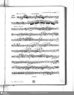 Violoncello