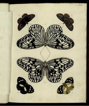 Pl. CXCIII [bis] PL. CCLXXXVIII. [siehe Paginierung]