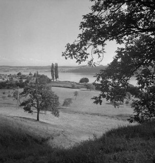 Landschaft am Bodensee bei Hödingen (Überlingen)