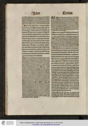 Hic probat quod intellectus non sit principium motus localis et primo hoc probat de intellectu speculativo...