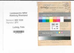 Entnazifizierung Felix Ludwig , geb. 22.06.1913 (Meister)