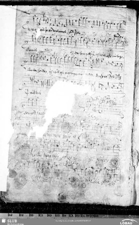 94 Hieronymus Praetorius: Dilectus meus