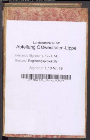 Regierungsprotokolle - Band 49