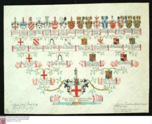 Ahnenprobe des Carl Anton Ferdinand v. Gymnich. - ausgefertigt 1753 August 11, Pergament