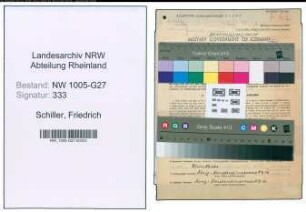 Entnazifizierung Friedrich Schiller , geb. 10.08.1903 (Verw.Inspektor)