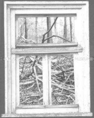 Collage: Fenster, dahinter Äste (Altersgruppe 18-21)