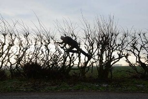 Leaning into the Wind - Andy Goldsworthy