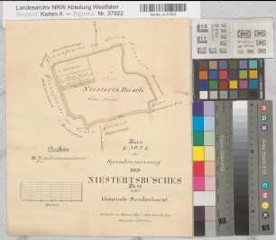 Sendenhorst (Sendenhorst), Teilung des Niestertsbusches, Reinkarte