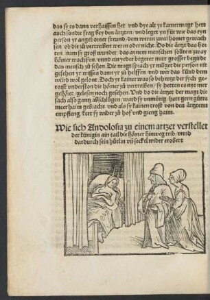 Wie sich Andolosia zu einem artzet verstellet der künigin ain tail die hörner hinweg trib/ ...