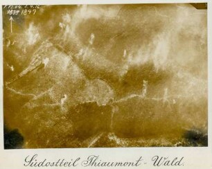 Foto des Waldes südöstlich von Thiaumont (Luftbild)