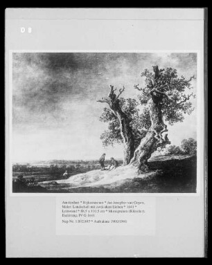 Landschaft mit zwei alten Eichen