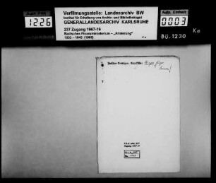 Mayer, Hugo, Kaufmann und dessen Ehefrau Karoline geb. Bierig in Leimen Käufer: Johann gen. Hans Geiser, Brauereibesitzer in Leimen Lagerbuch-Nr. 4184 a Leimen