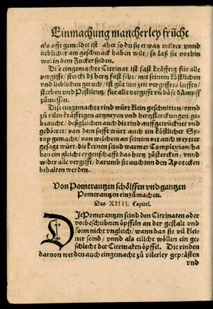 Das XIIII. Capitel.