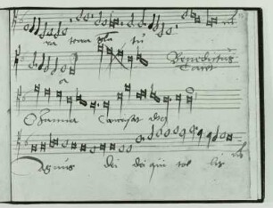 Geistliches Gesangbüchlein 1524. Tenor-Stimmbuch : Walter, Johann: Geistliches Gesangbüchlein, Tenor-Stimmbuch. Blatt 57: Sanctus, Schluß. Agnus Dei. Wittenberg, 1524. Notenhandschrift; 129 x 166 mm. Dresden: Dreikönigskirche