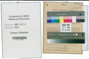 Entnazifizierung Elisabeth Cesarz , geb. 27.01.1891 (Lehrerin)