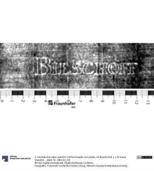 A: Heraldischer Adler, bekrönt, mit Reichsapfel und Zepter, mit Brustschild: [...]; B: Name (zweikonturig): BIESCHOFF