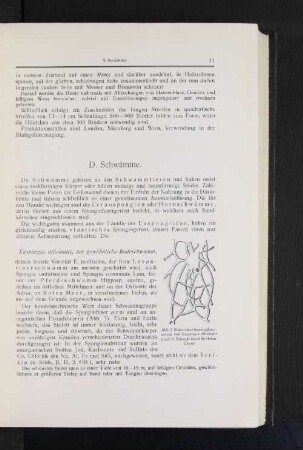 D. Schwämme.