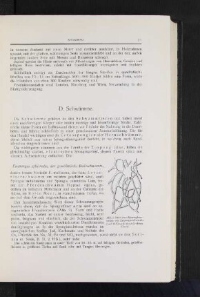 D. Schwämme.