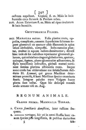 Regnum Animale