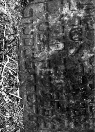 Grabstein 224 (Index: 100108547) Material: Sandstein Zustand: sehr schlecht, sehr stark verwittert, teilweise unter der Erde, übermoost, Textverlust Maße HxBxT: 64x59x10 cm: Grabstein 224B