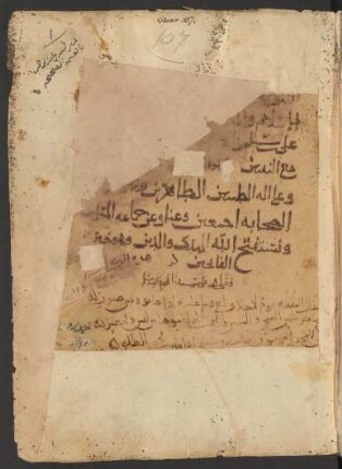Kitāb Miṣbāḥ aš-šarīʿa al-Muḥammadīya al-muḫtār min ʿulūm al-aʾimma az-Zaidīya