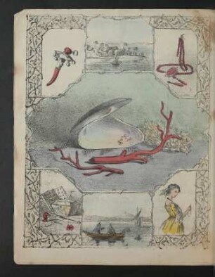 Tafel: [Coral and Pearl]