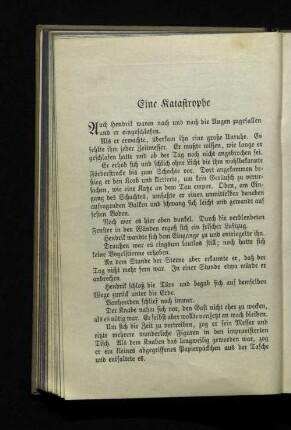 Eine Katastrophe