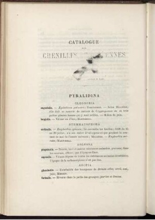 Catalogue des Chenilles europeennes