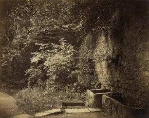 Schlossmauer mit Brunnen und Buschwerk