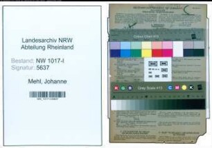 Entnazifizierung Johanne Mehl , geb. 01.07.1906 (Packerin)