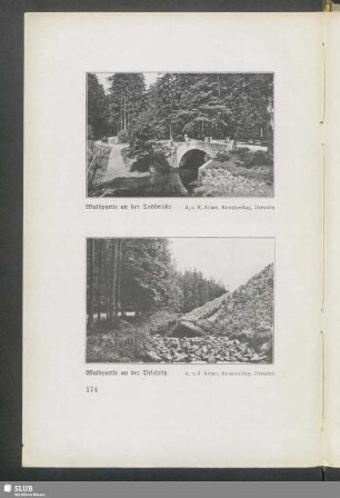 Waldpartie an der Todbrücke - Waldpartie an der Prießnitz