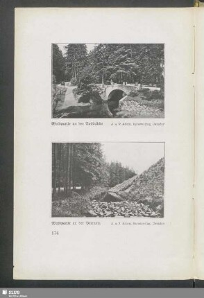 Waldpartie an der Todbrücke - Waldpartie an der Prießnitz