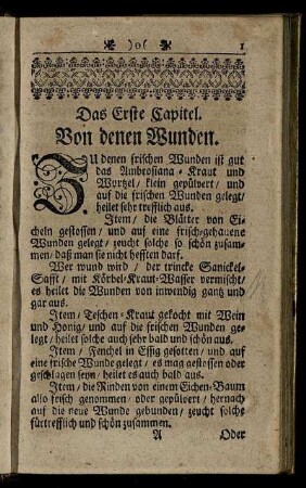 Das Erste Capitel. Von denen Wunden.