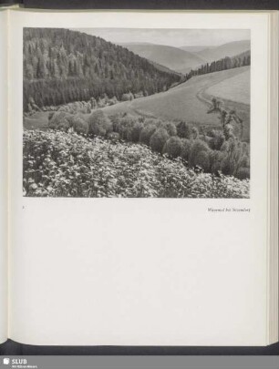 Wiesental bei Sitzendorf