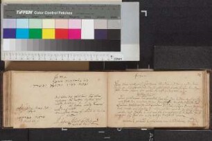 Hildebrand, Johann Ulrich; Blatt 33,2