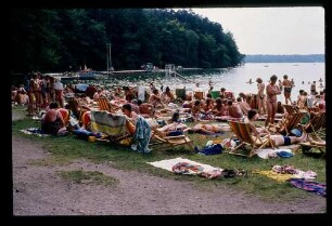 Stechlin-See 18.8.80.