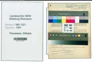 Entnazifizierung Wilhelm Thevessen , geb. 28.09.1889 (Filialrevisor)