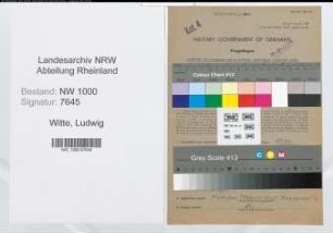 Entnazifizierung Ludwig Witte, geb. 03.01.1902 (Kaufm.Angest.)