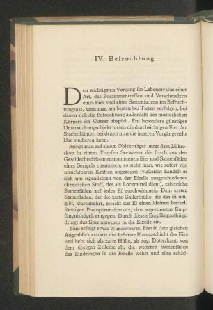 IV. Befruchtung