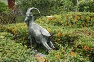 Steinbock