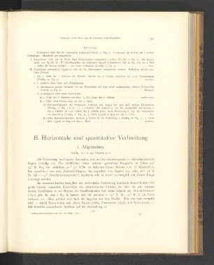 B. Horizontale und quantitative Verbreitung.