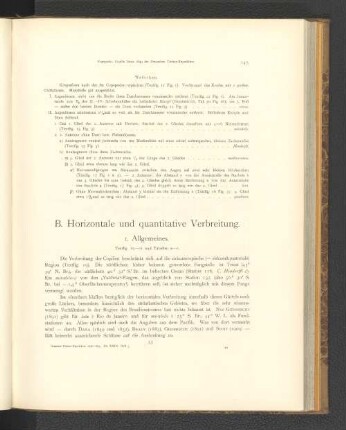 B. Horizontale und quantitative Verbreitung.