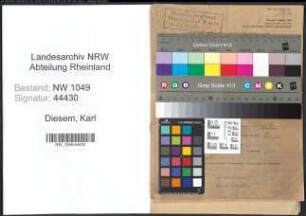 Entnazifizierung Karl Diesem , geb. 18.11.1900 (Wachtmeister)