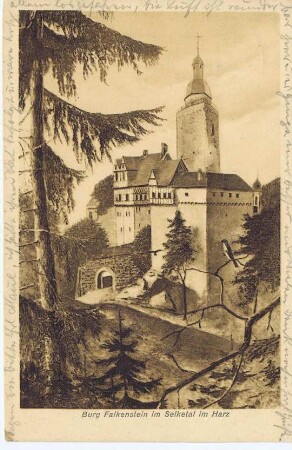 Ansichtskarte: Burg Falkenstein im Selketal im Harz